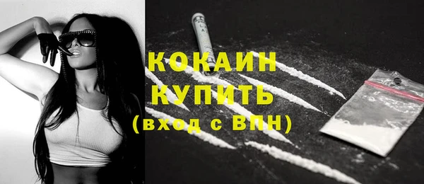 стафф Новозыбков