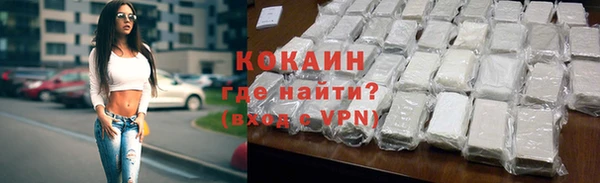 стафф Новозыбков