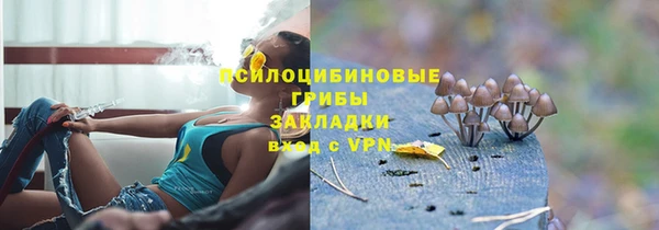 каннабис Новодвинск