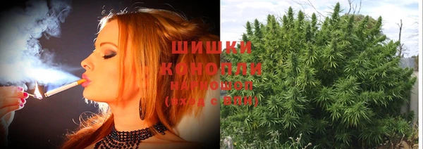 бошки Абаза