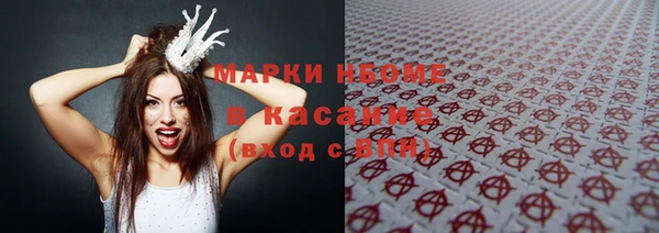стафф Новозыбков
